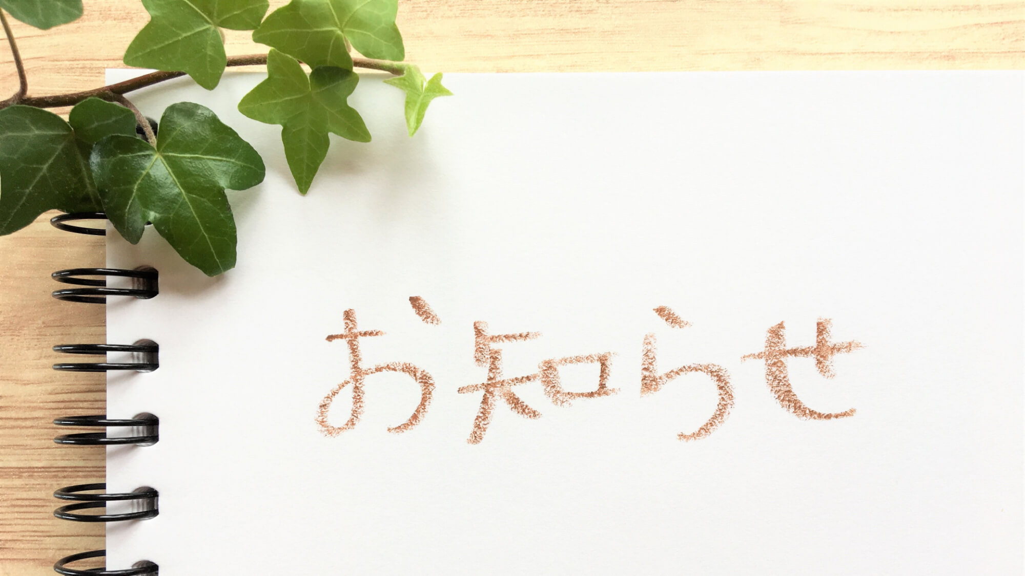 着物屋ナティーからのお知らせ